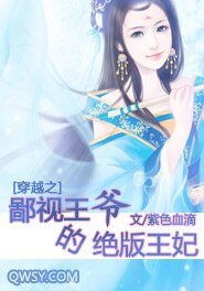 穿越之鄙视王爷的绝版王妃