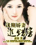《迷糊嬌妻進錯門》