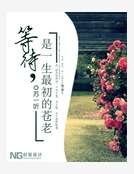 等待已是一生最初的苍老