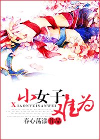 辣文小寡婦/小女子難為