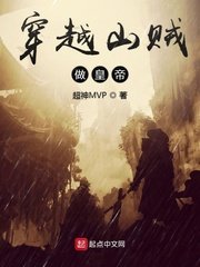 《穿越山賊做皇帝》