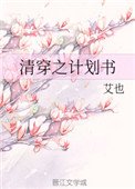 《清穿之計劃書》