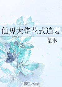 《仙界大佬花式追妻》
