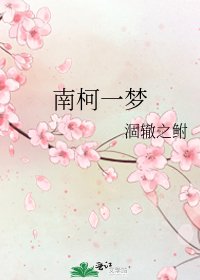 南柯一梦