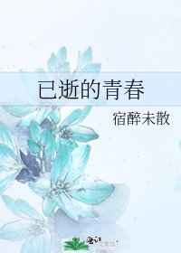 《已逝的青春》
