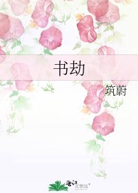 《書劫》