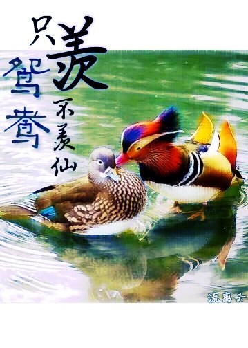 《只羨鴛鴦不羨仙》