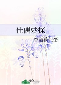 《佳偶妙探》