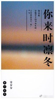 你来时凛冬