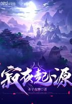 寂夜起源