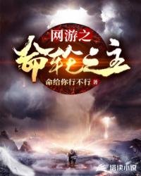 《网游之命轮之主》