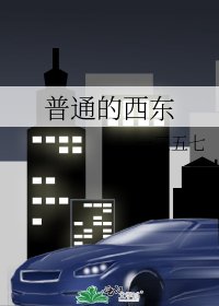 《普通的西東》