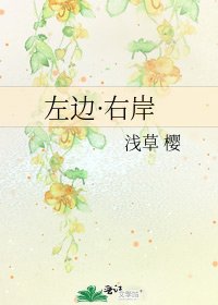 《左邊·右岸》