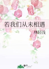 《若我们从未相遇》