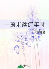 《一蕭未落流年時》