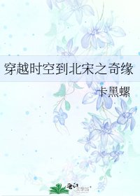 《穿越时空到北宋之奇缘》