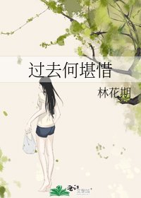 过去何堪惜