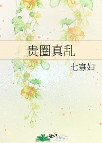 贵圈真乱