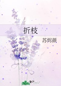 《折枝》