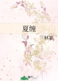 《夏纏》