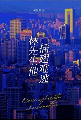 《林先生他插翅難逃》