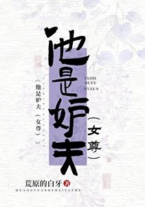 他是妒夫(女尊)